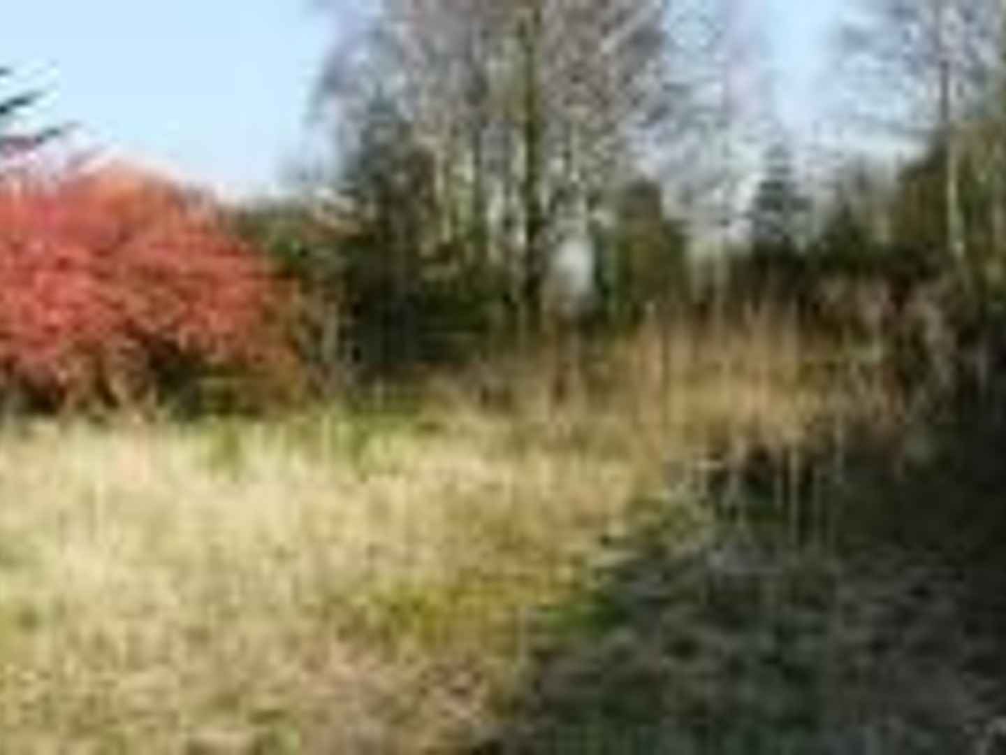 Terrain 585 m²