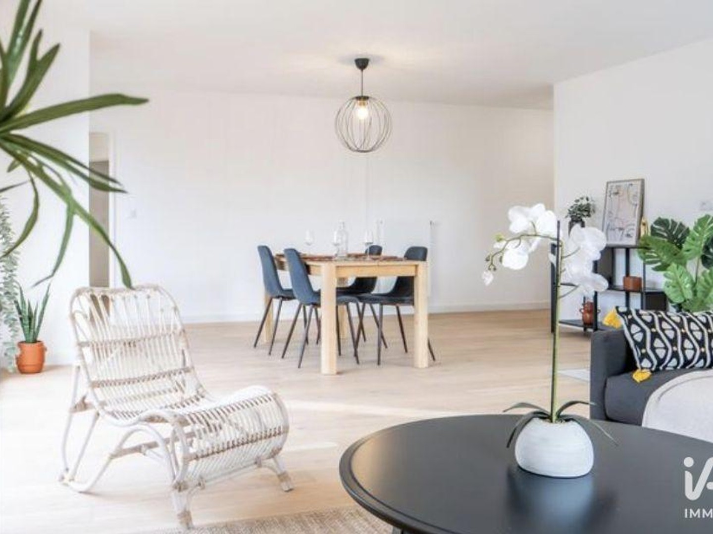 Appartement 2 pièces 37 m²