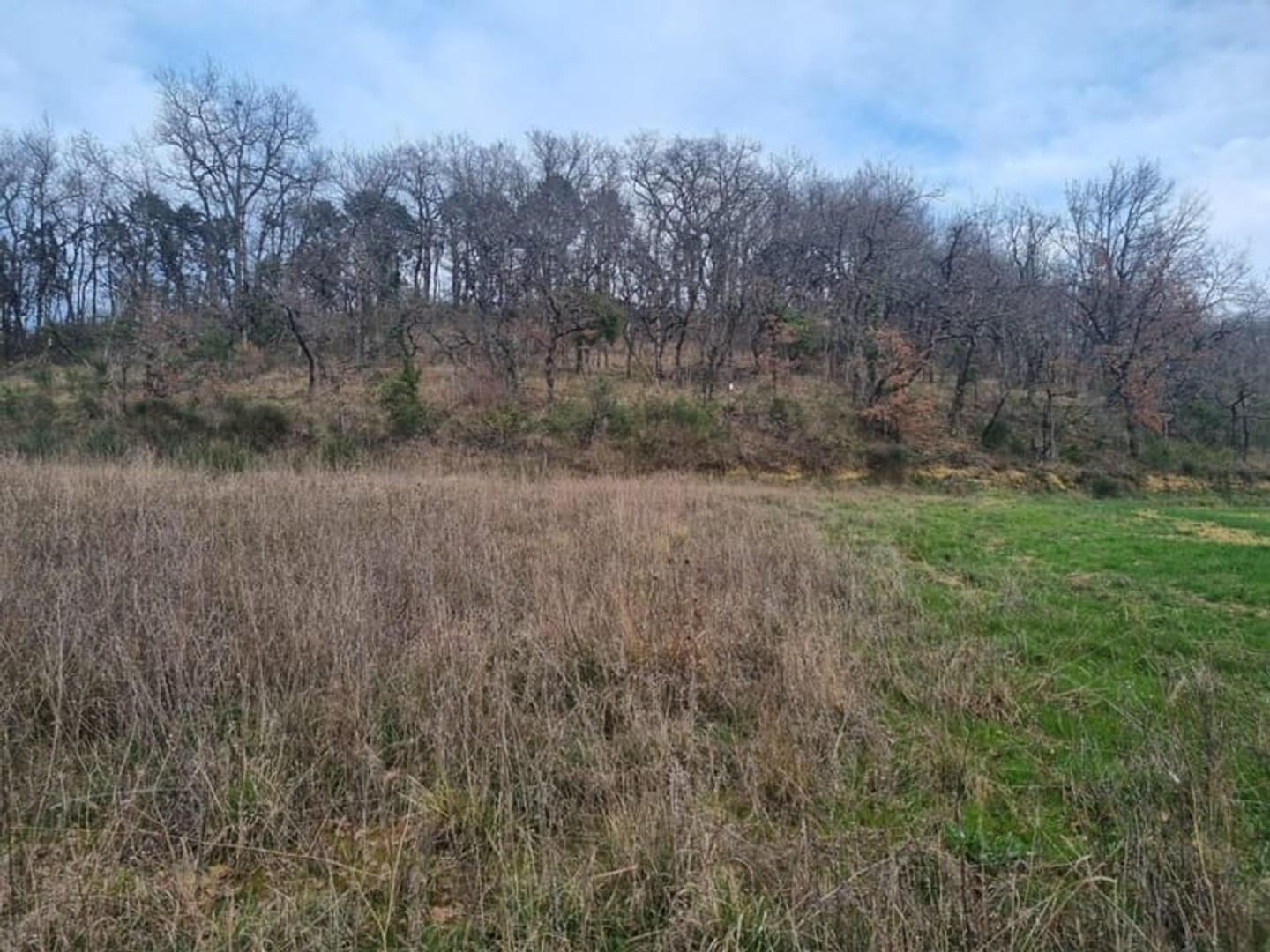 Terrain à vendre - 1500m2 - Auch (32000)
