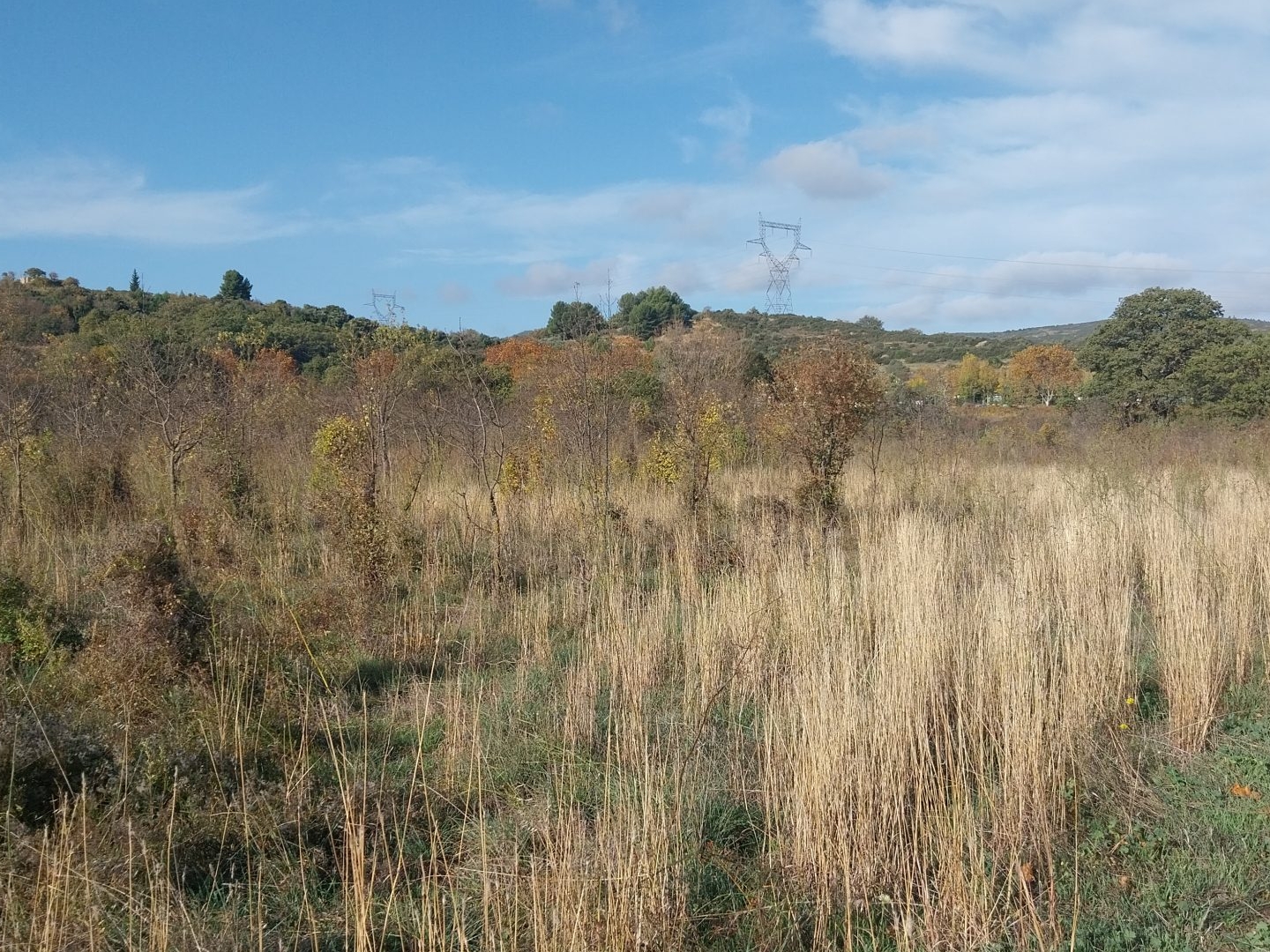 Terrain en individuel 13600 m²
