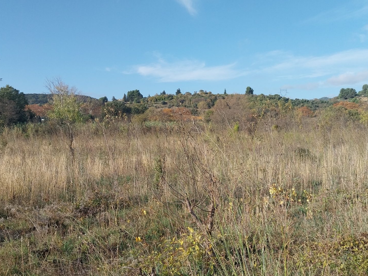 Terrain à vendre - 13600m2 - Fontès (34320)