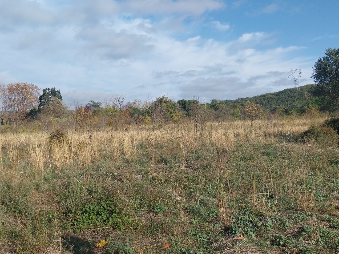 Terrain à vendre - 13600m2 - Fontès (34320)
