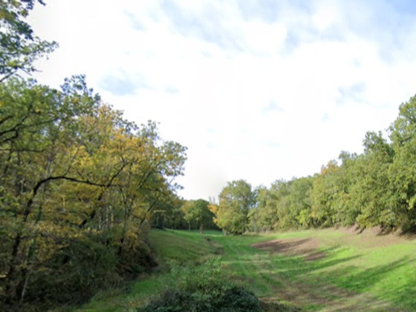 Terrain 21735 m²