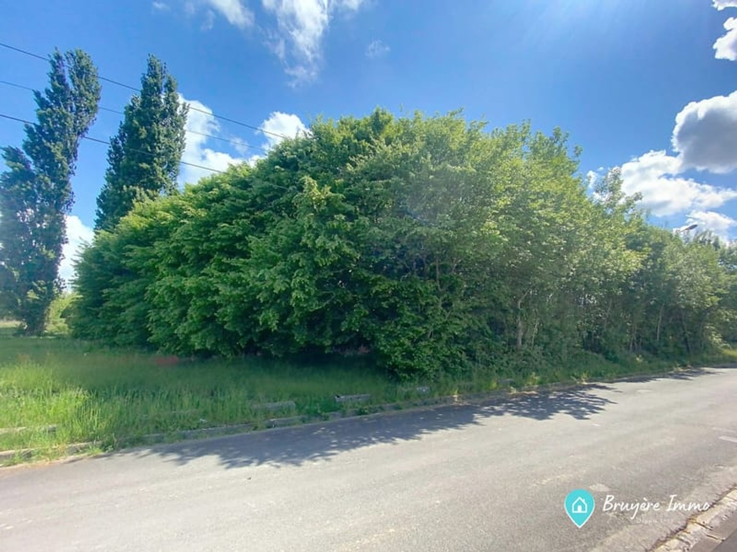 Terrain 8453 m²