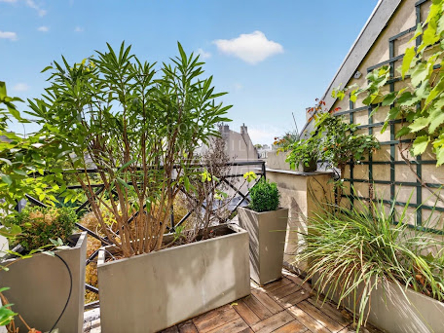 Appartement à vendre - 5 pièces - 109m2 - Paris 6e (75006)