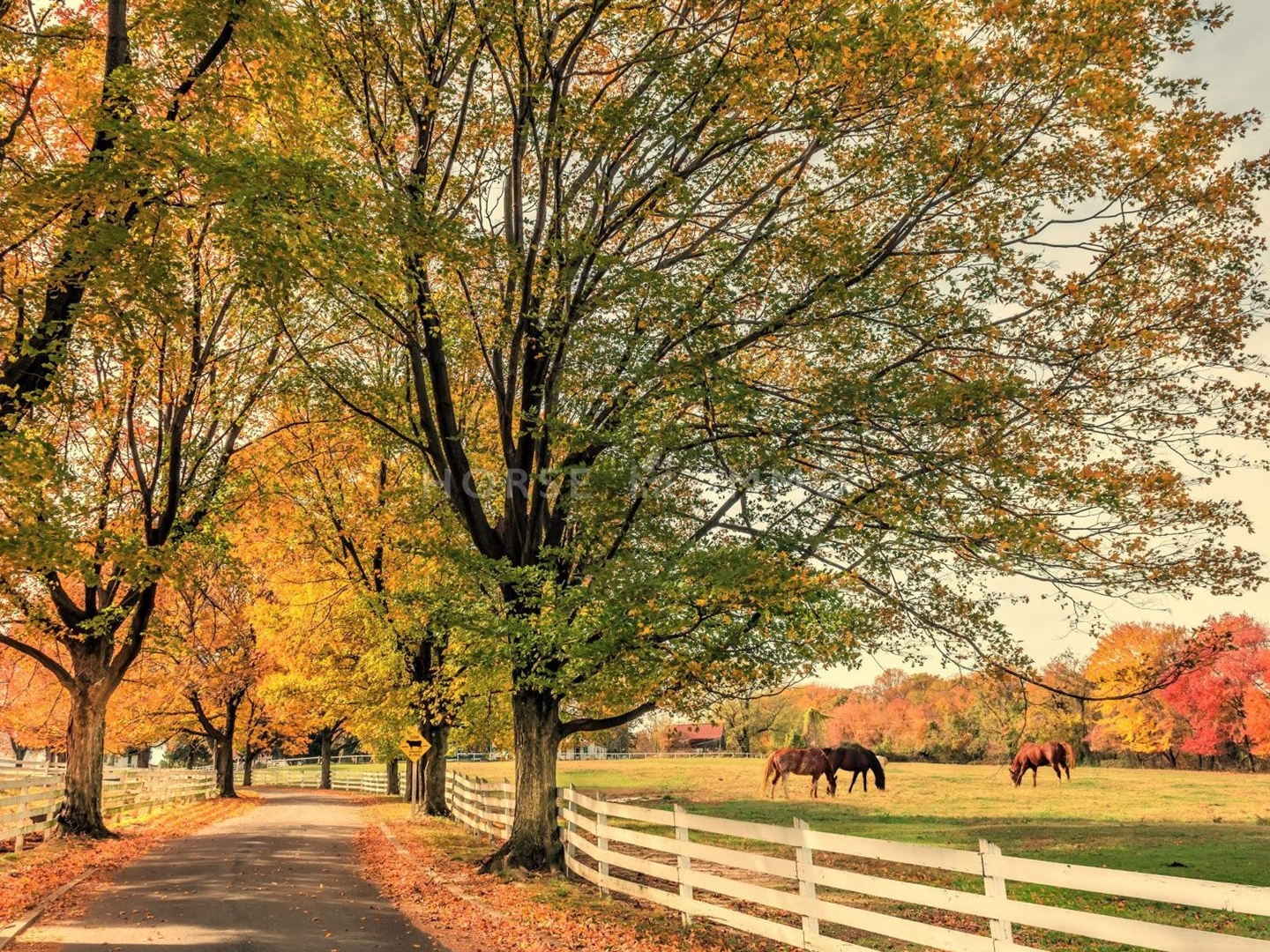 Superbe Domaine Equestre en Région Parisienne