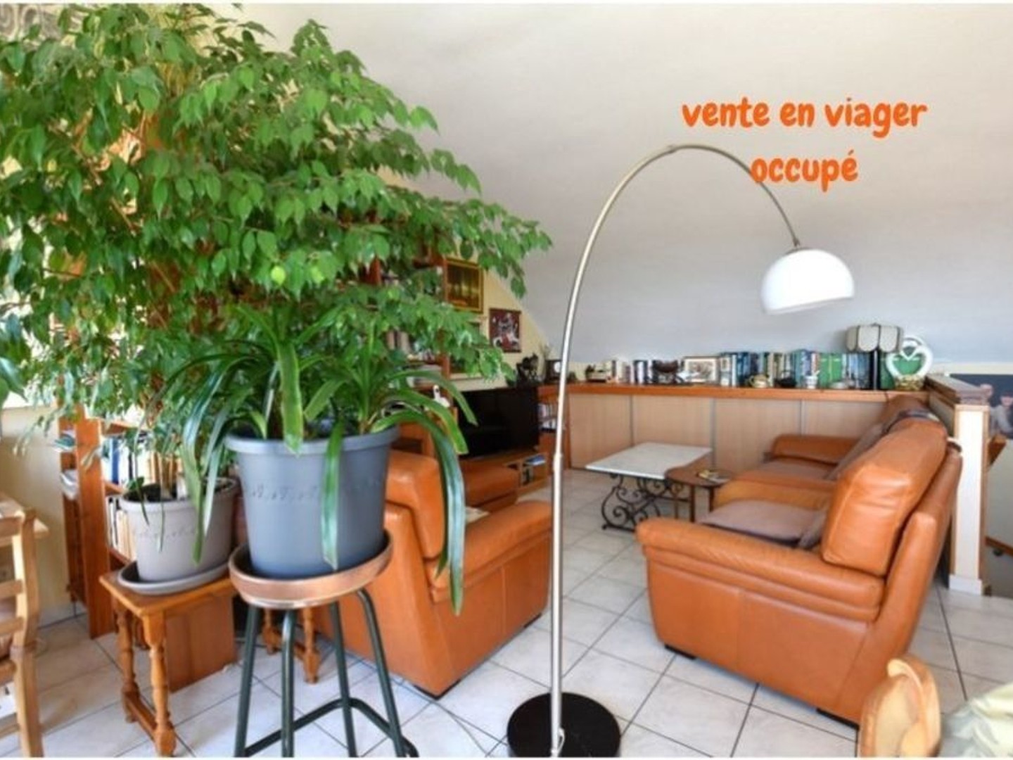 VIAGER OCCUPÉ OPPORTUNITÉ RARE AVEC VUE PANORAMIQUE + FAIBLE RENTE