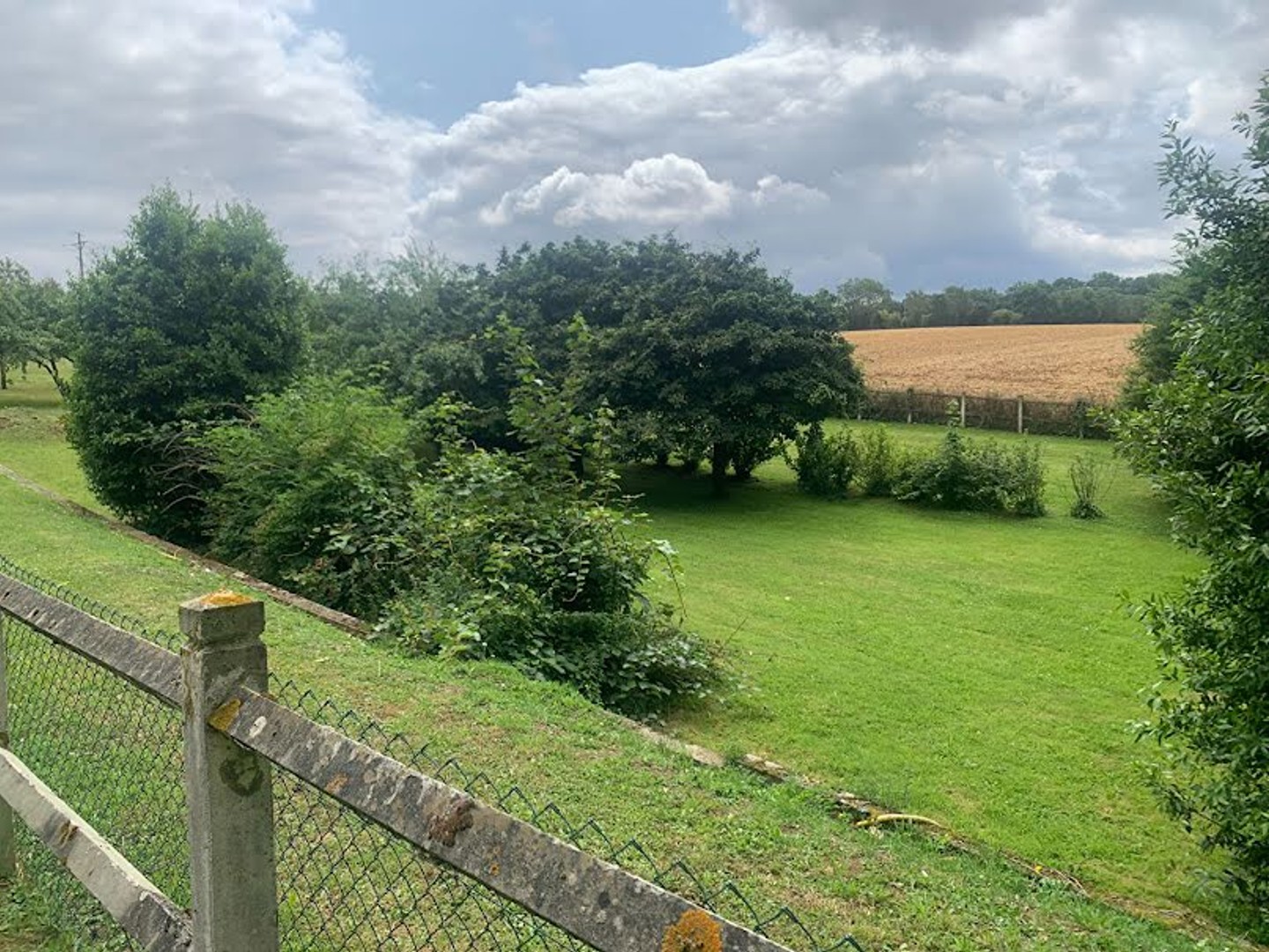 Terrain 1478 m²