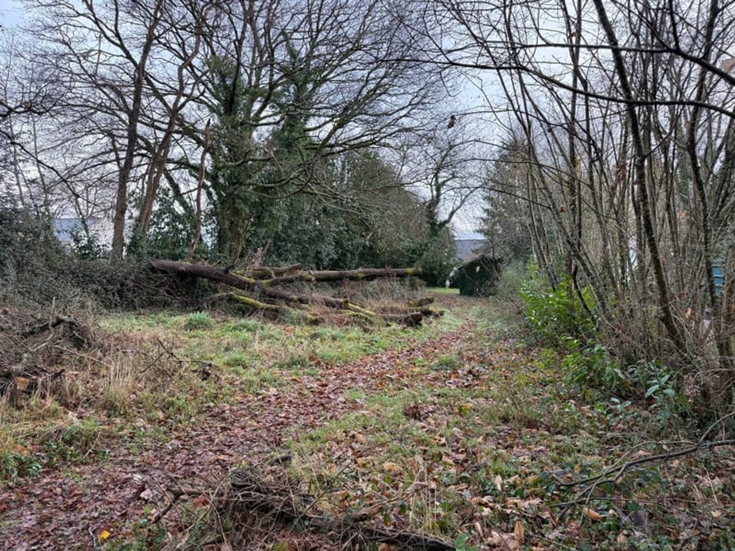 Terrain à vendre - 1248m2 - Plessé (44630)
