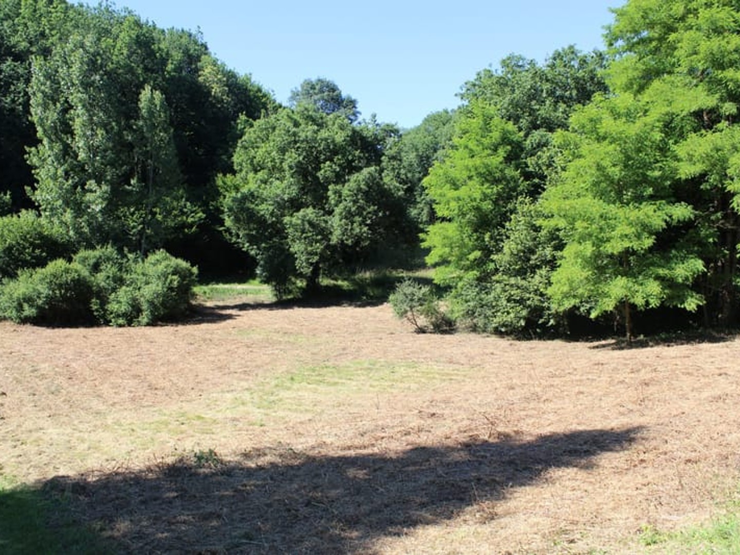 Terrain 2000 m²