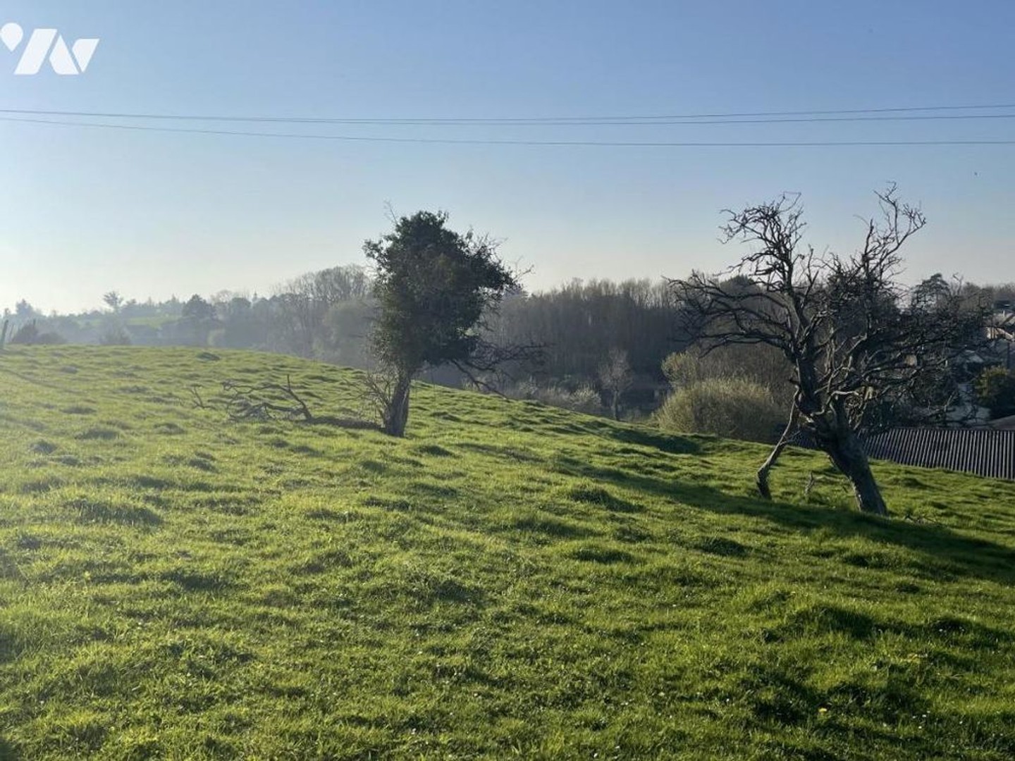 Terrain à vendre - Ver-Sur-Mer (14114)