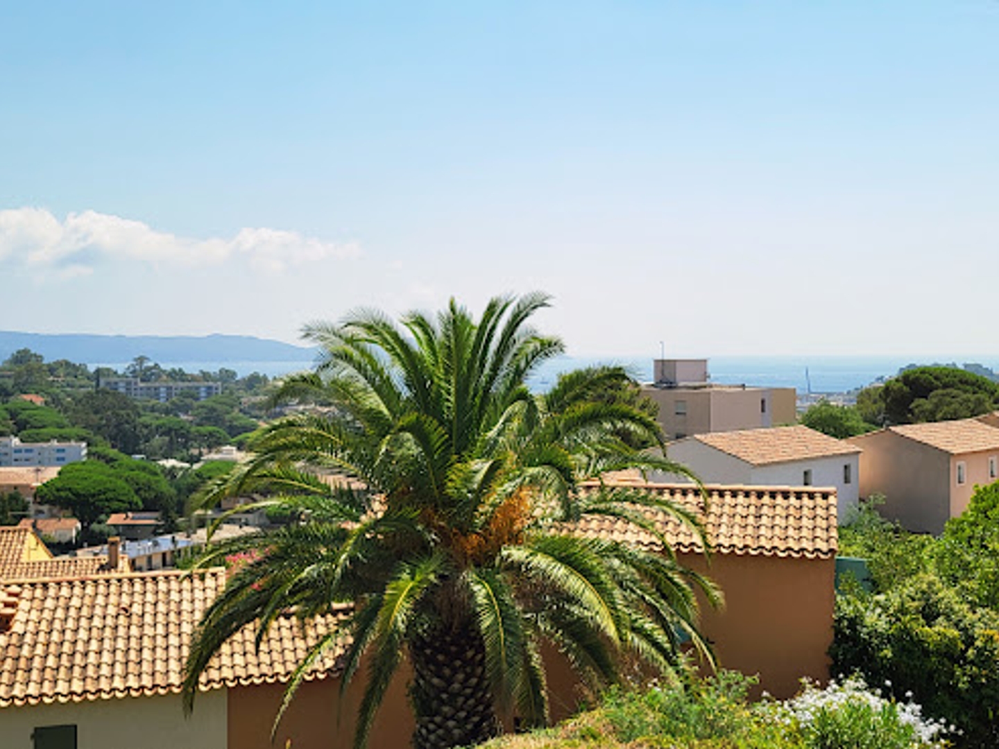 Appartement 3 pièces 36 m²