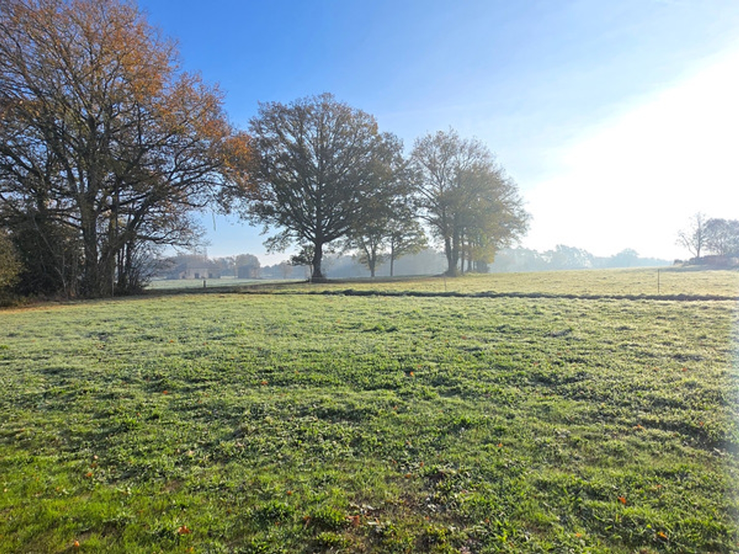 Maison à vendre - 5 pièces - 103m2 - Oradour-Sur-Glane (87520)