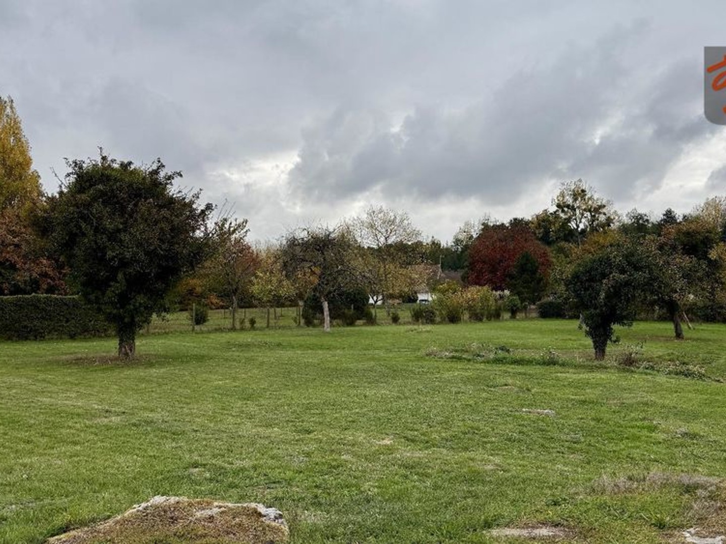 Terrain