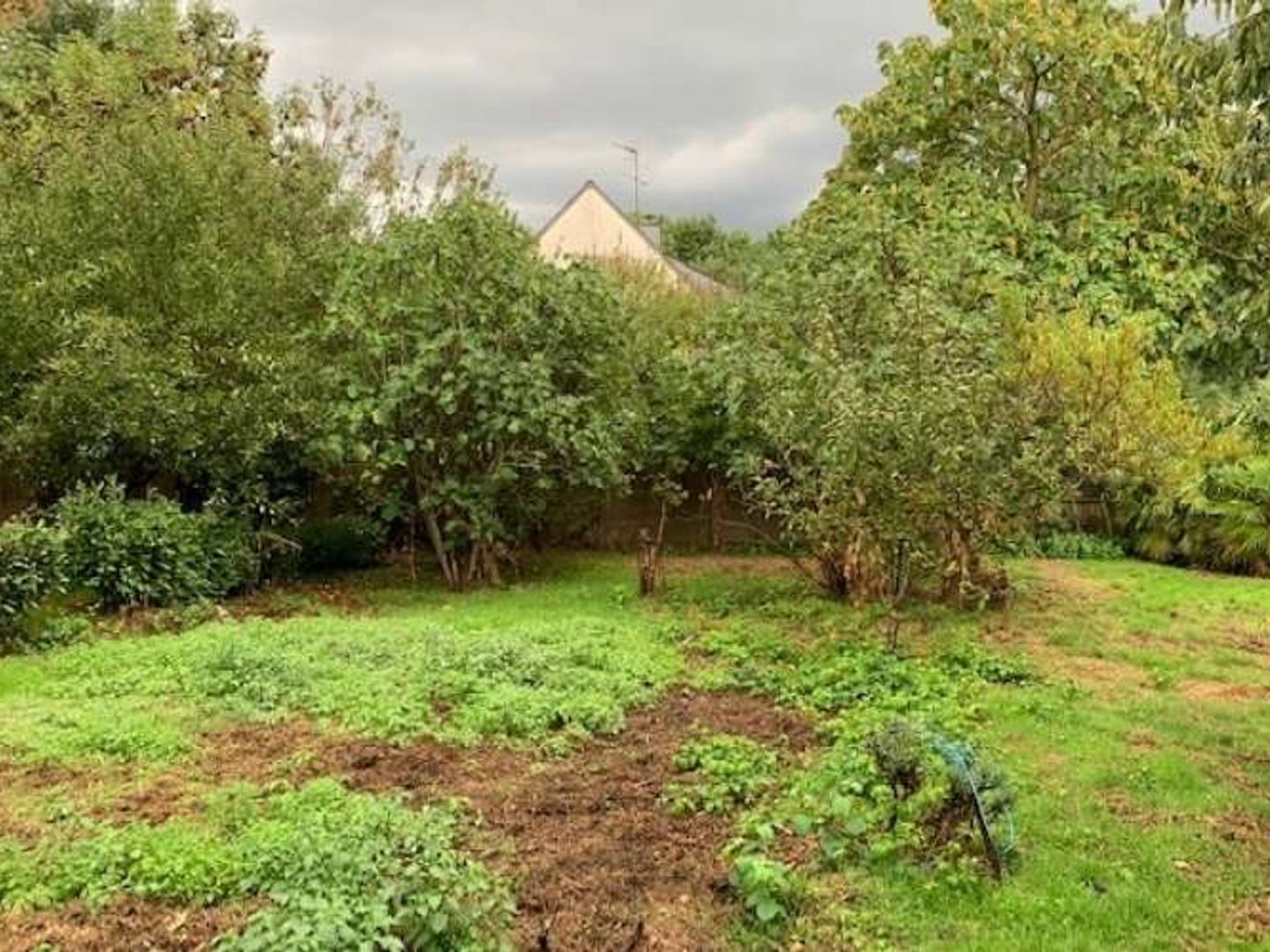 Terrain 1094 m²