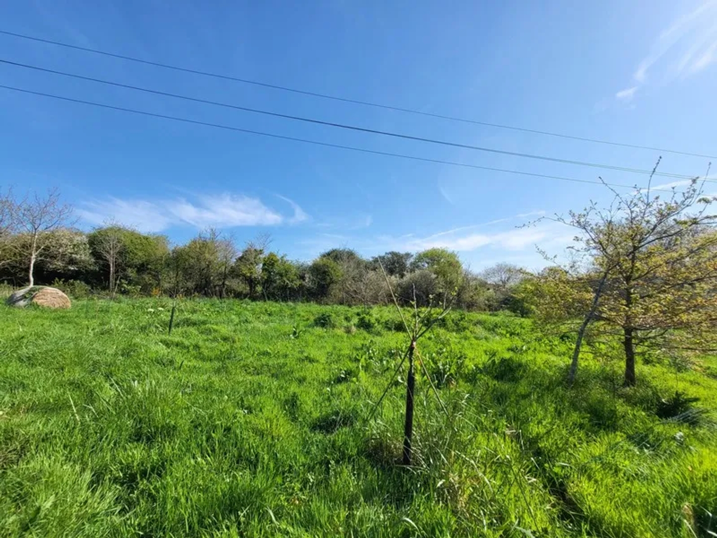 Immeuble à vendre - 1 pièce - 520m2 - Crozon (29160)
