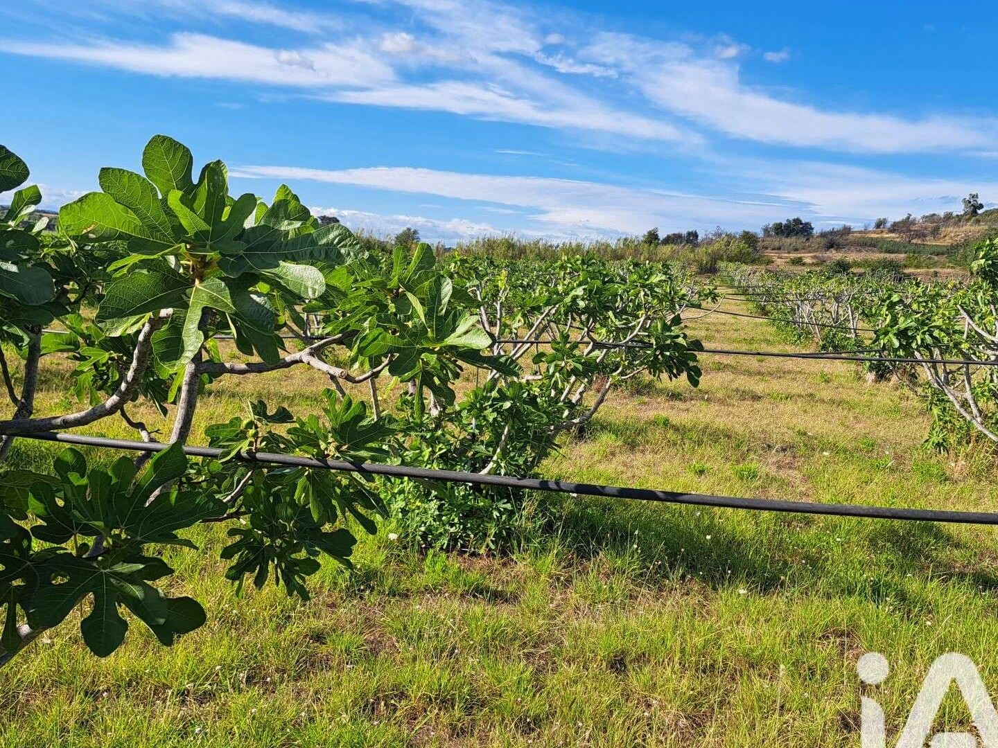 Vente propriété agricole arboricole 2.3ha Tourbes