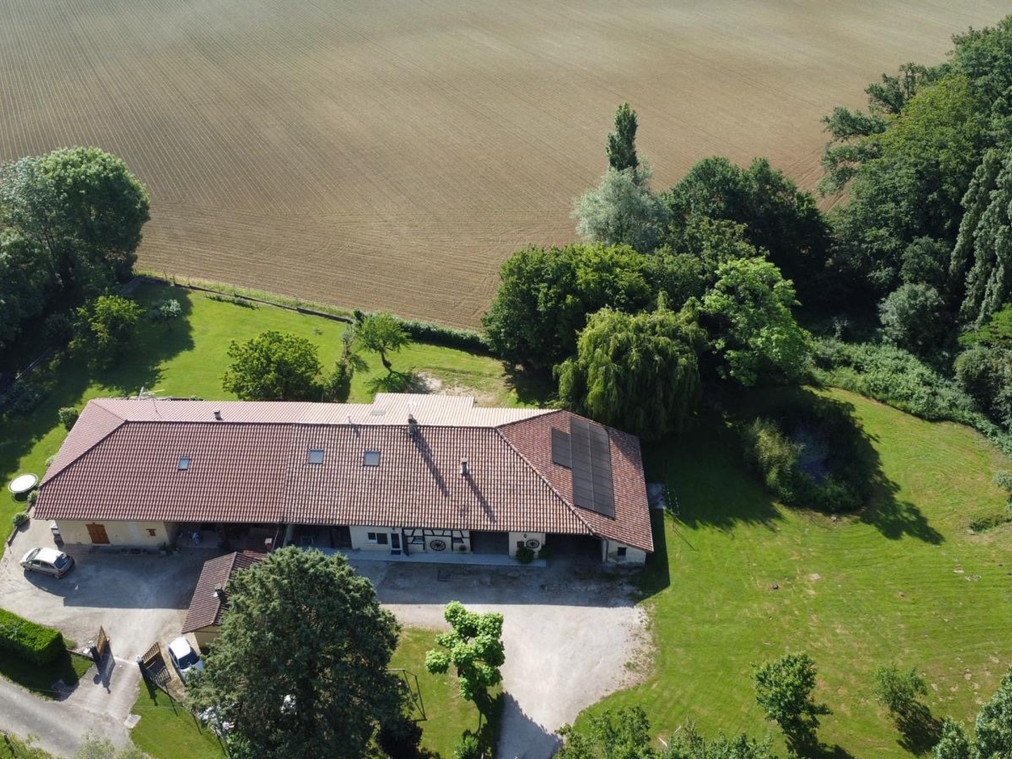 Maison à vendre - 6 pièces - 170m2 - Foissiat (01340)