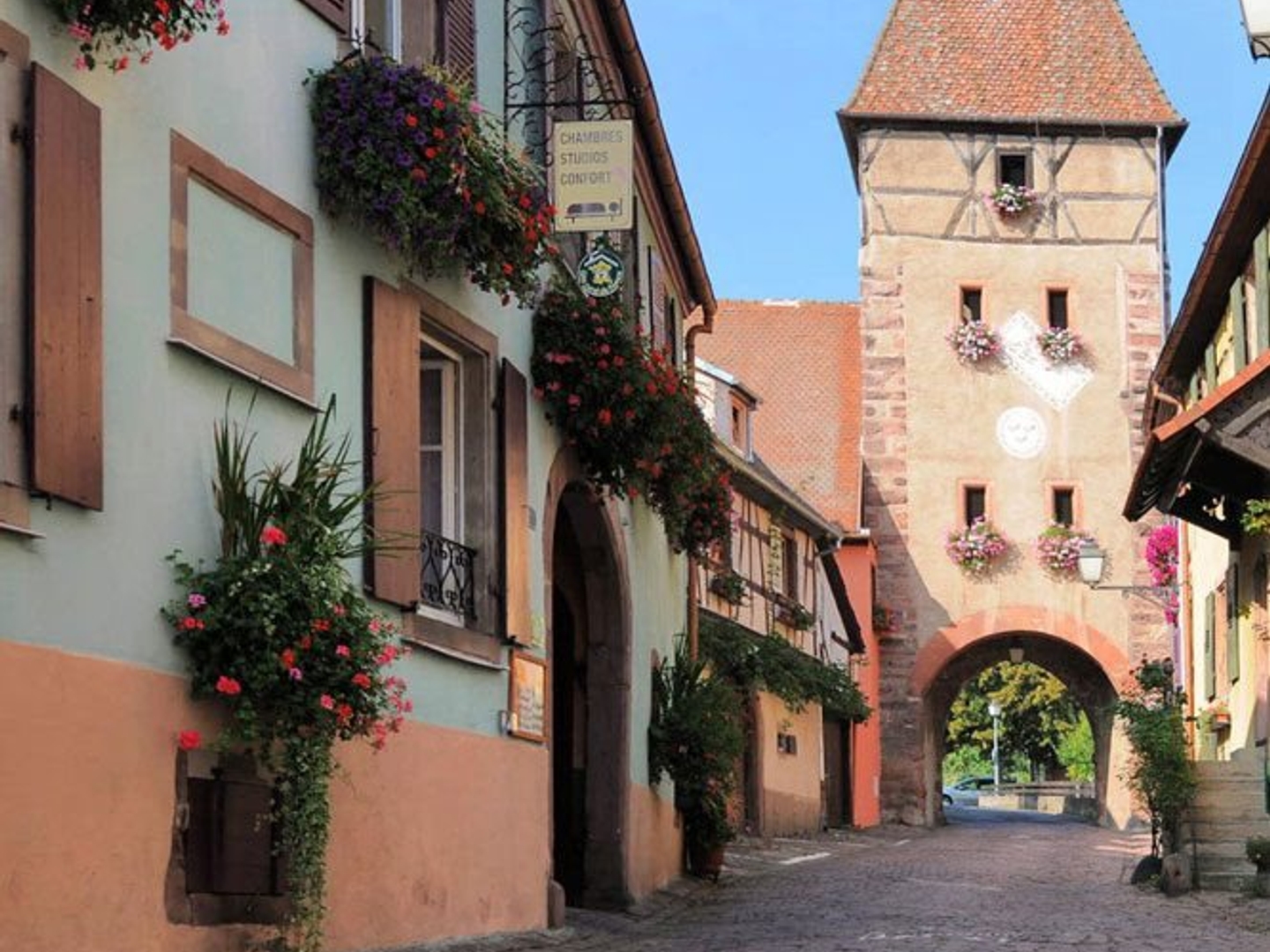 Investissement clé en main au coeur du vignoble alsacien