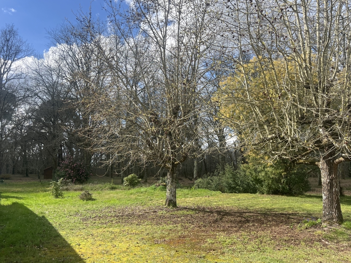 Maison à vendre - 4 pièces - 86m2 - Pessac (33600)