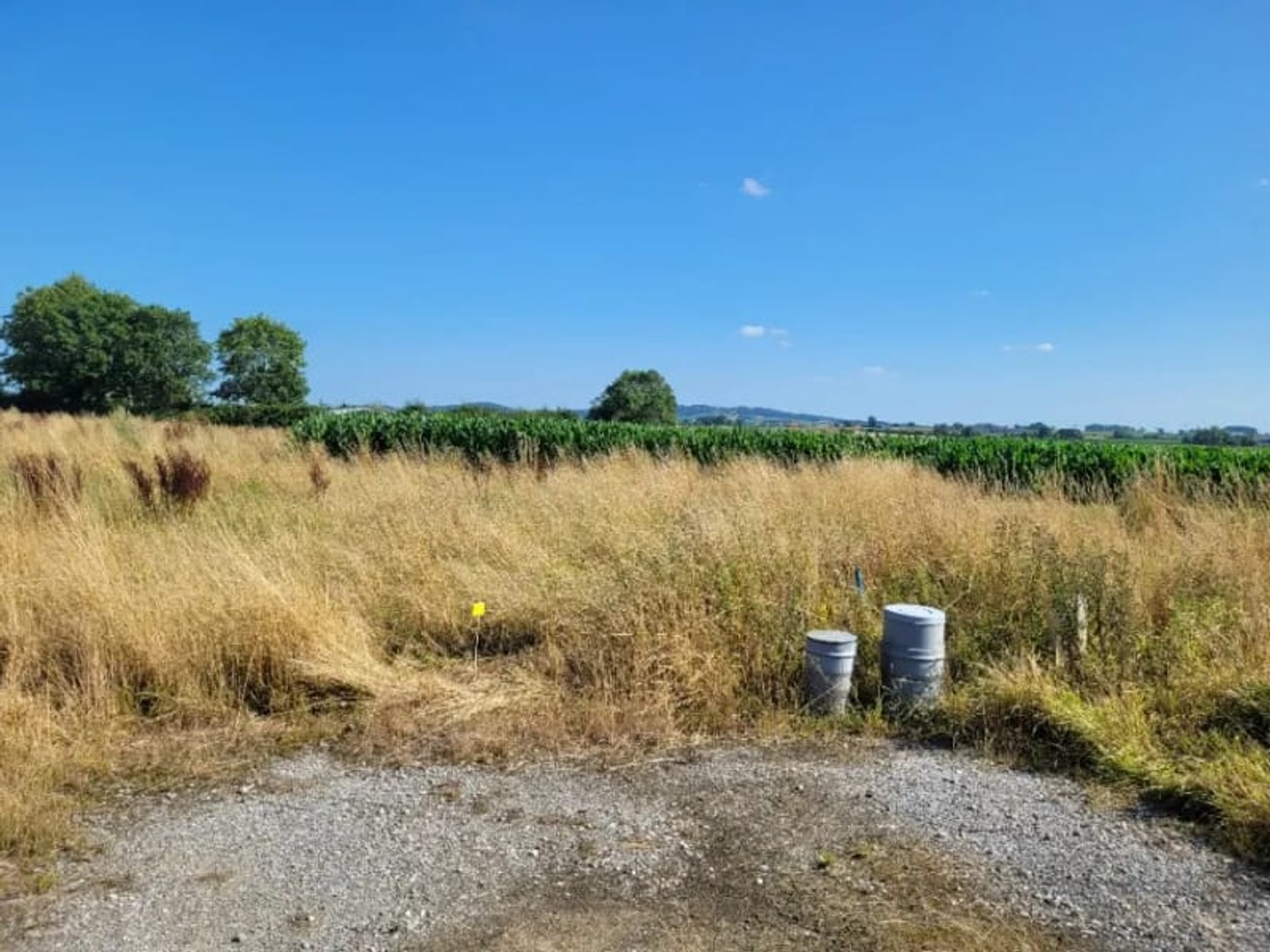 Terrain à vendre - 450m2 - Wormhout (59470)