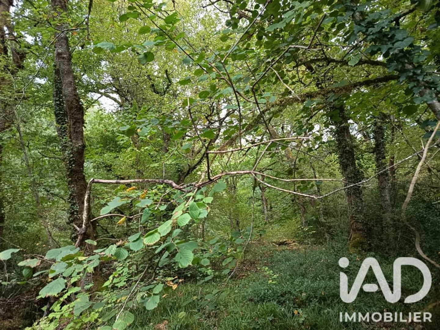 Terrain 8100 m²