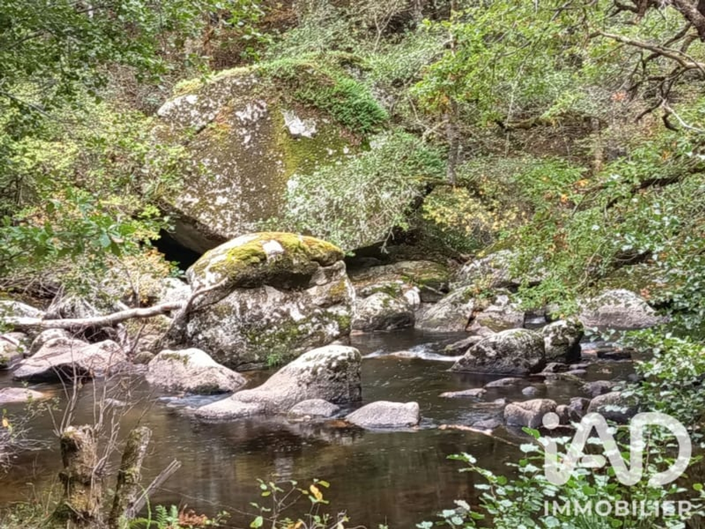 Terrain à vendre - 8100m2 - Nedde (87120)