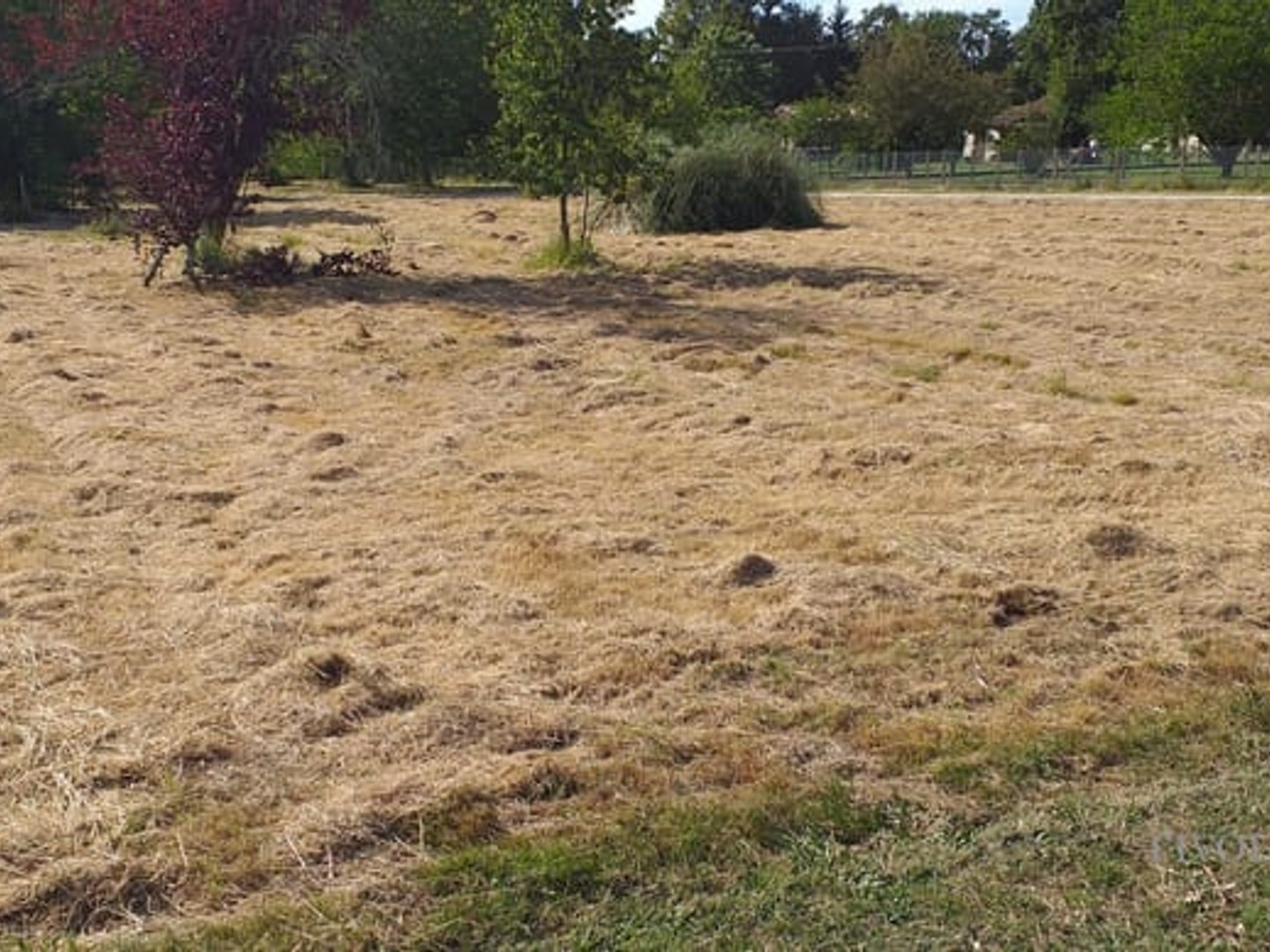 Terrain