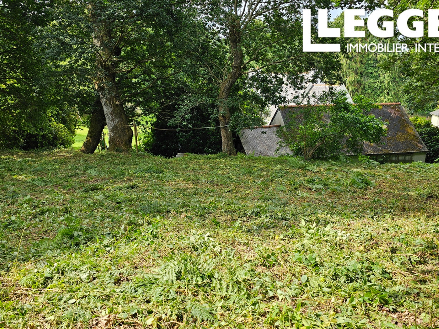 Terrain 10000 m²