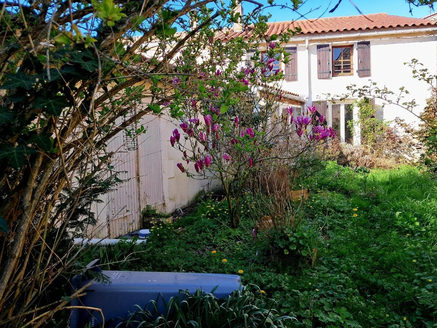 Maison à vendre - 3 pièces - 75m2 - Aigrefeuille-D'aunis (17290)