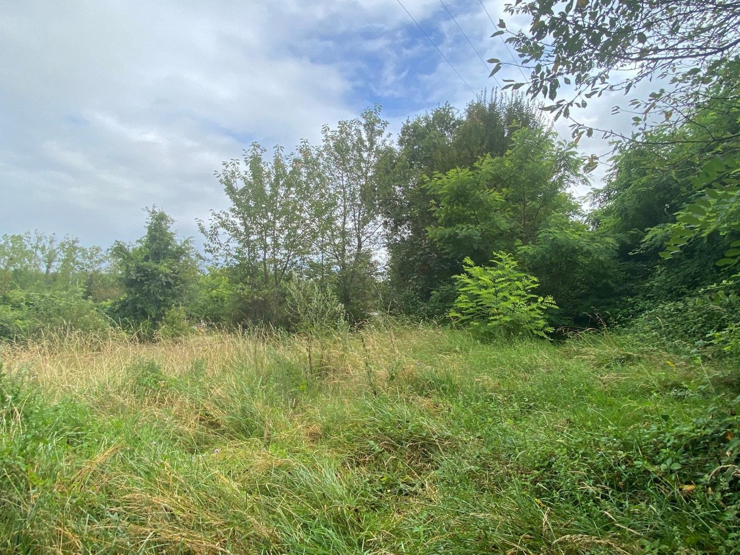 Terrain à vendre - 2250m2 - Bridoré (37600)