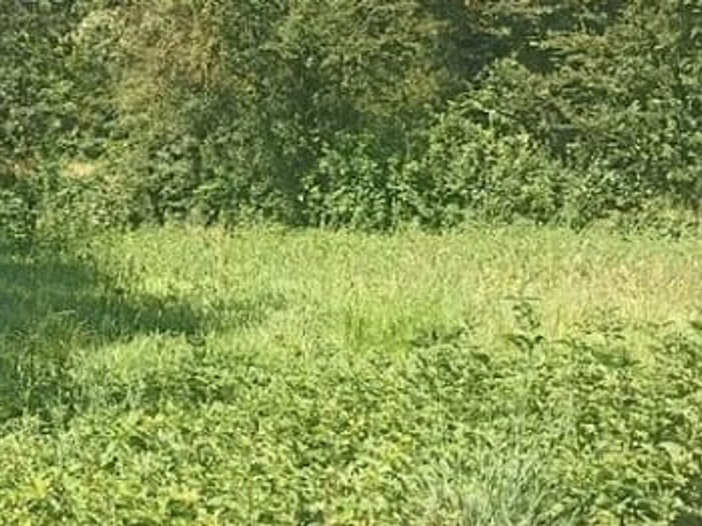Terrain 1091 m²