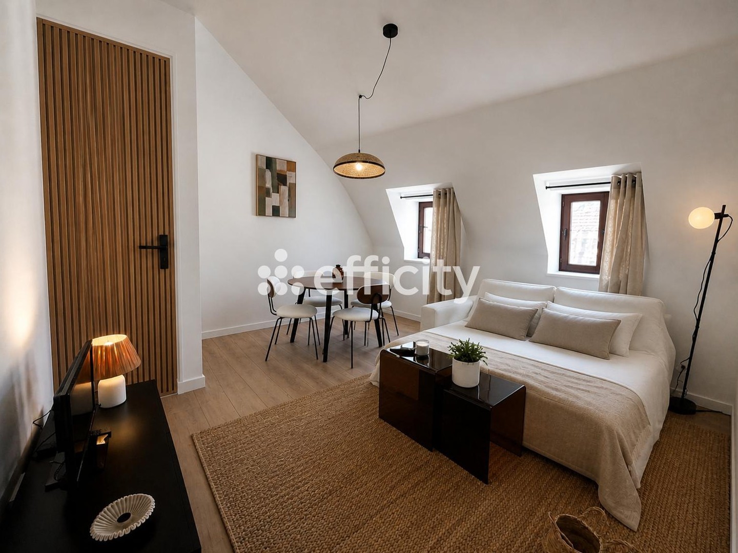 Appartement 1 pièce 24 m²