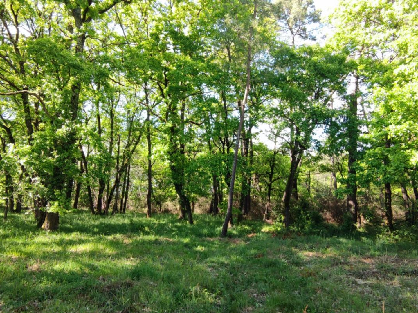 Terrain en individuel 840 m²