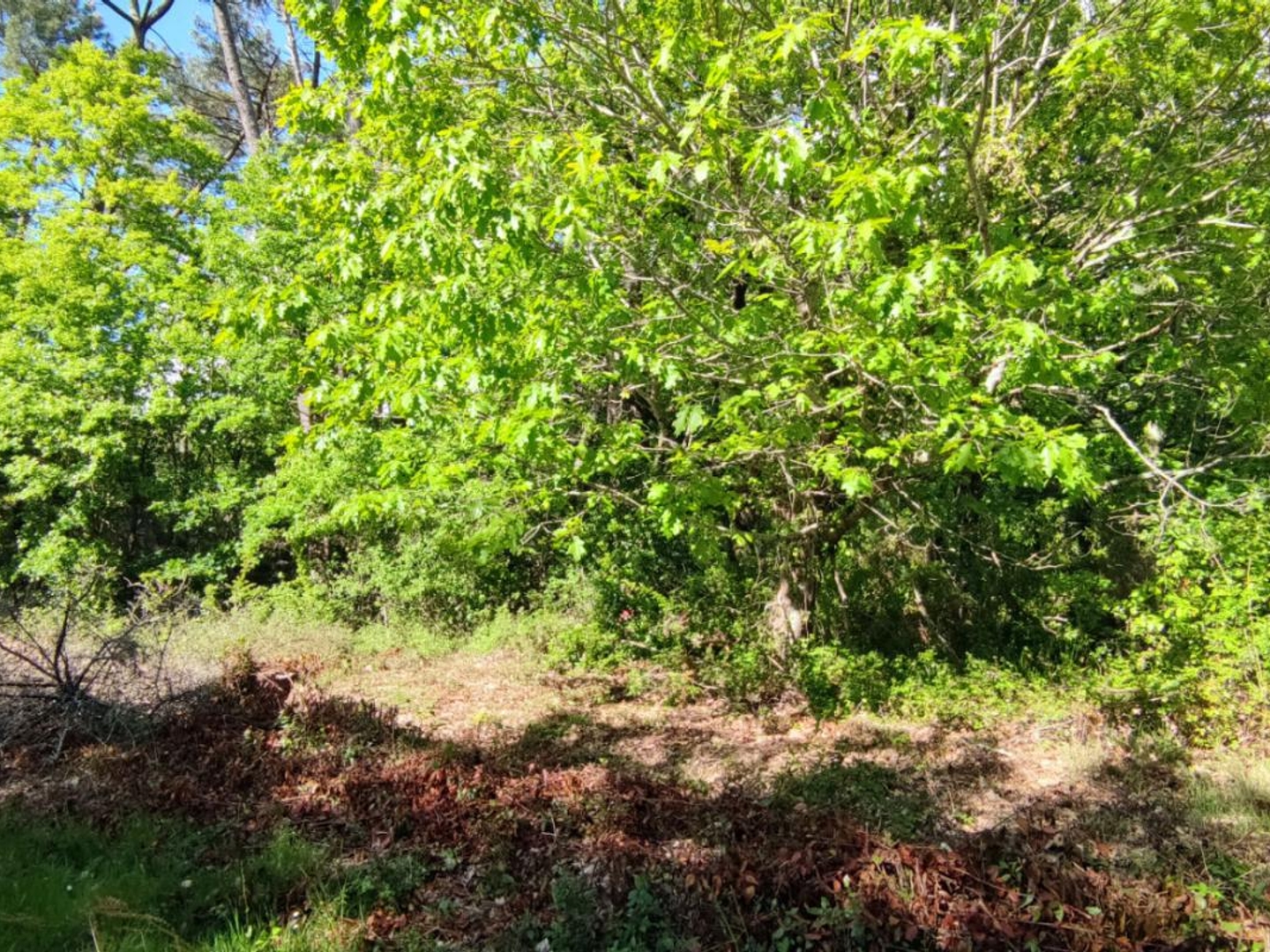 Terrain à vendre - 840m2 - Villefranche-De-L... (24610)
