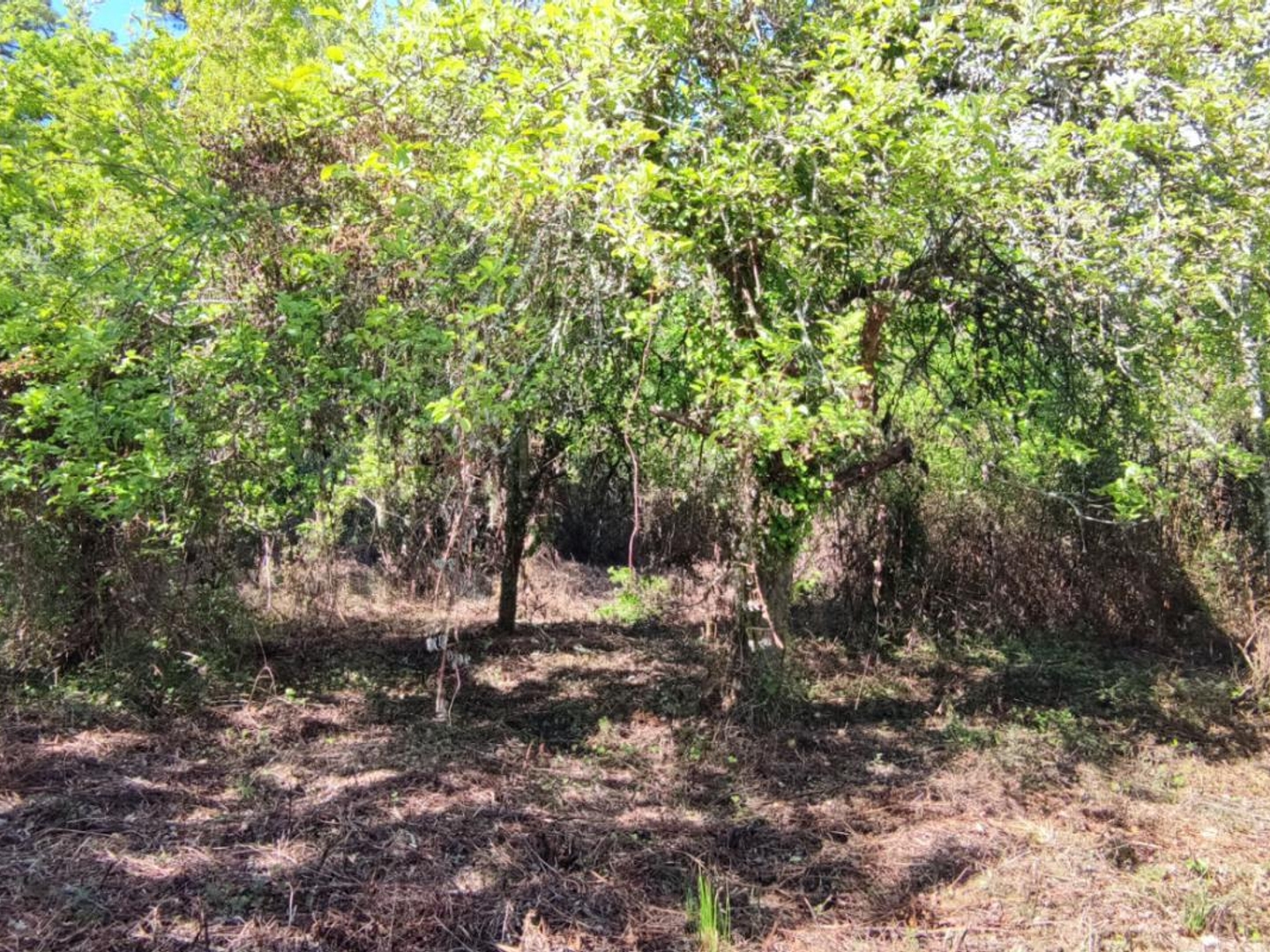 Terrain à vendre - 840m2 - Villefranche-De-L... (24610)