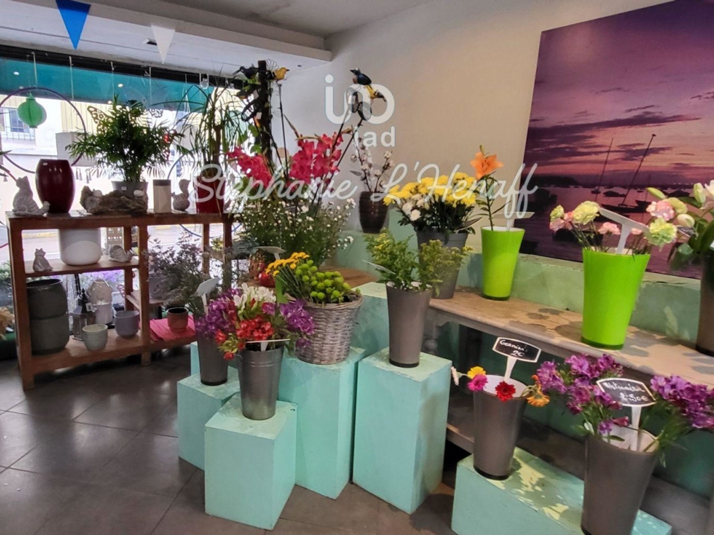 Vente Boutique/Local commercial 146 m²