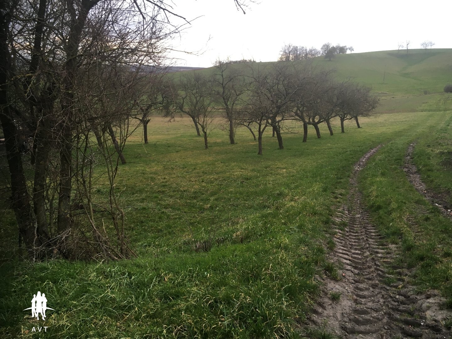 TERRAIN constructible et verger de 1845 m²