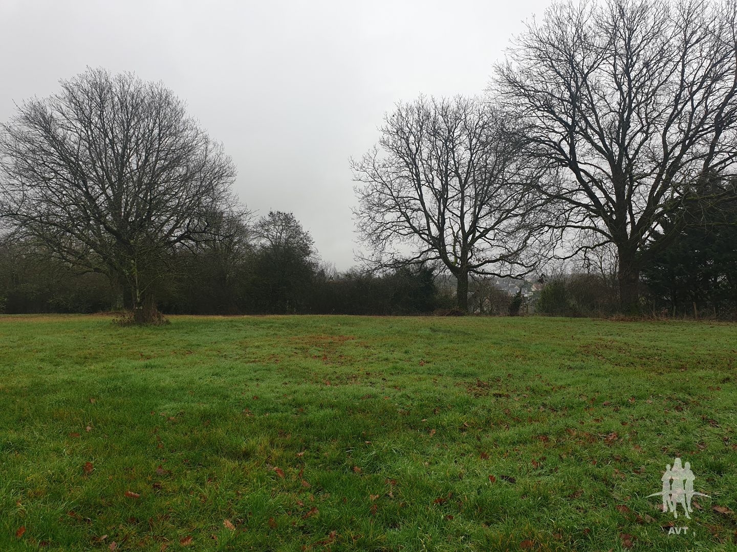 Terrain constructible 2651 m² à Château-Renault