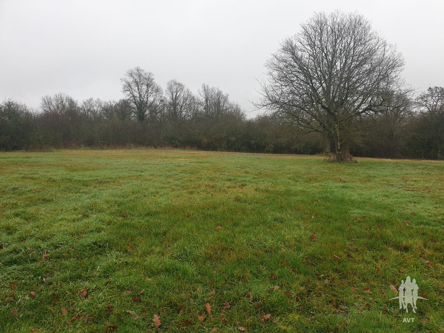 Terrain à vendre - 2651m2 - Auzouer-En-Touraine (37110)