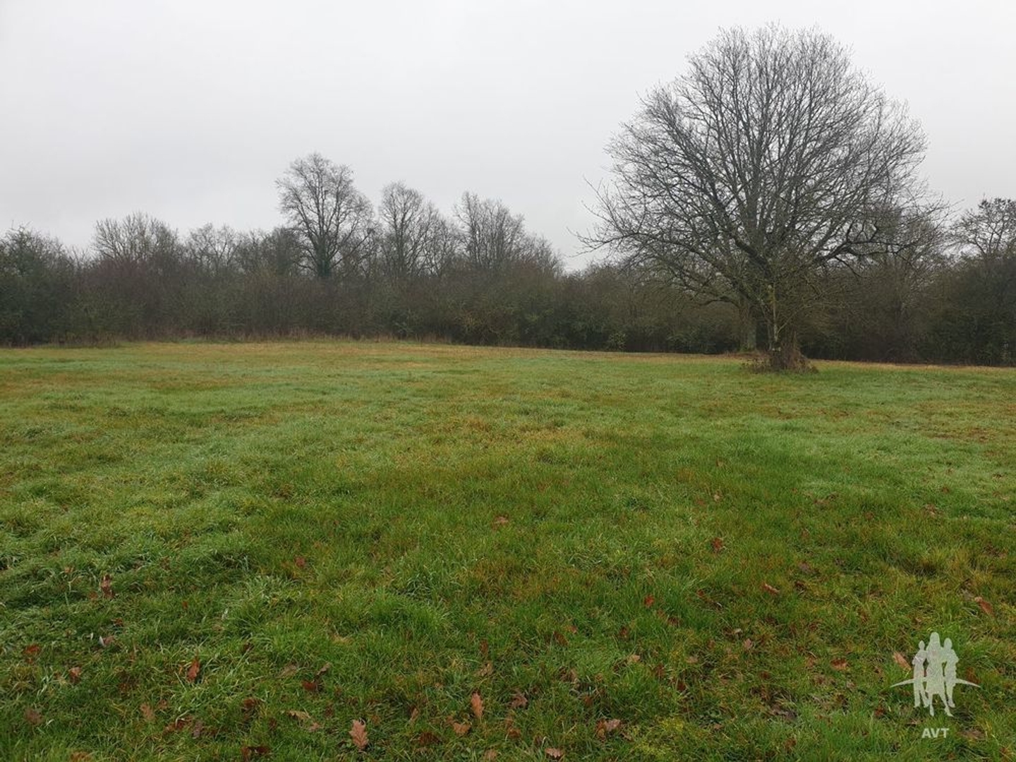 Terrain à vendre - 2651m2 - Auzouer-En-Touraine (37110)