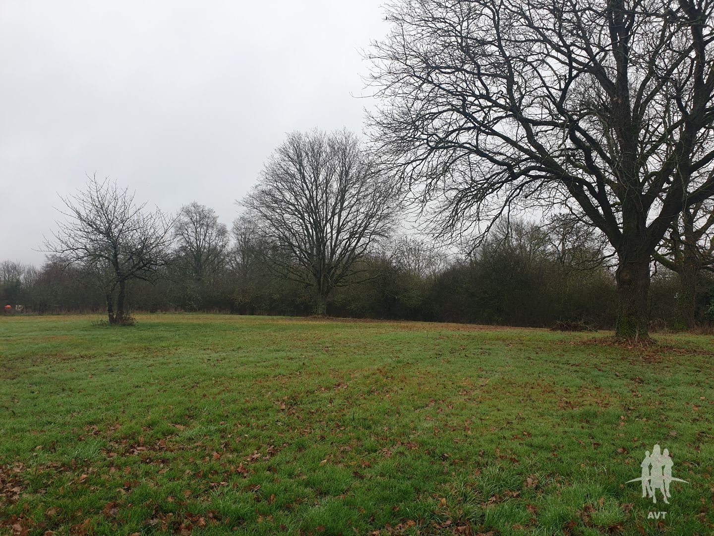Terrain à vendre - 2651m2 - Auzouer-En-Touraine (37110)