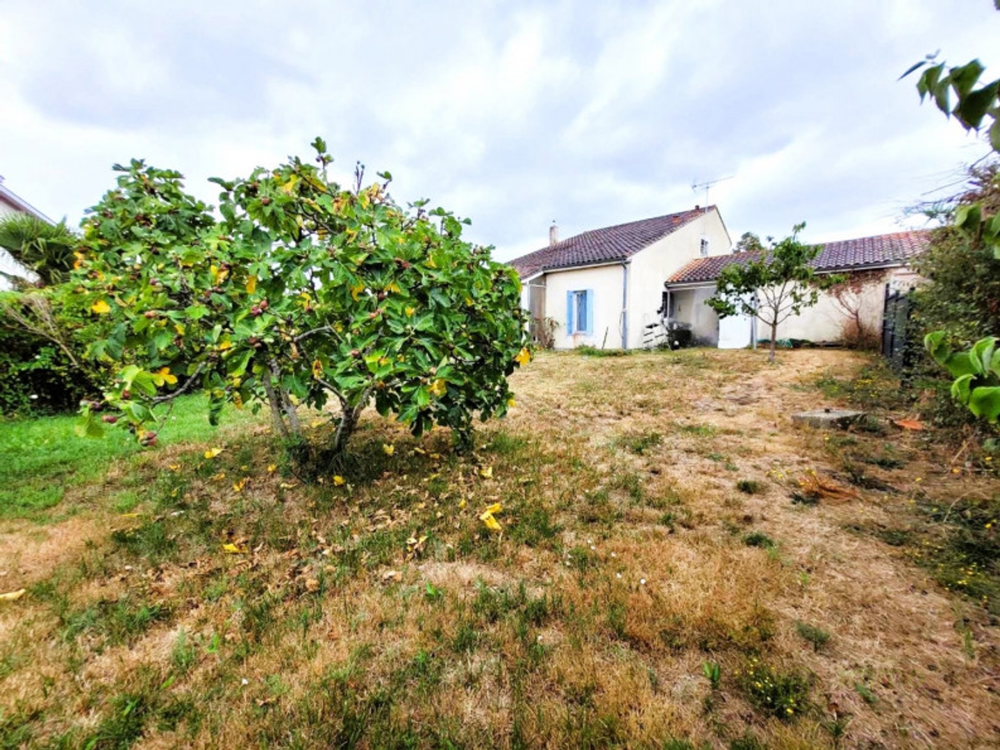 Maison à vendre - 6 pièces - 130m2 - Braud-Et-Saint-Louis (33820)
