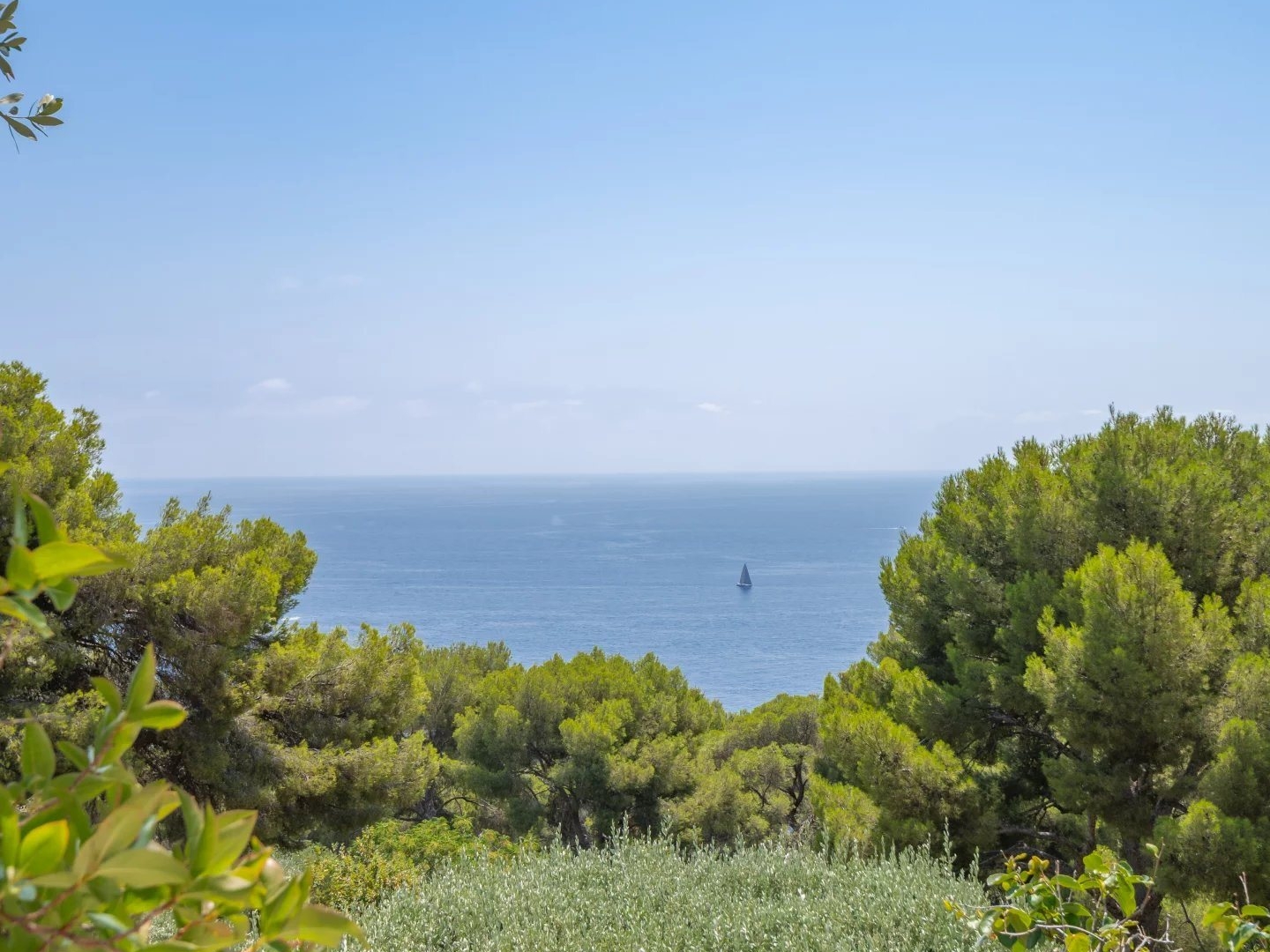 Appartement à vendre - 120m2 - Cap-D'ail (06320)