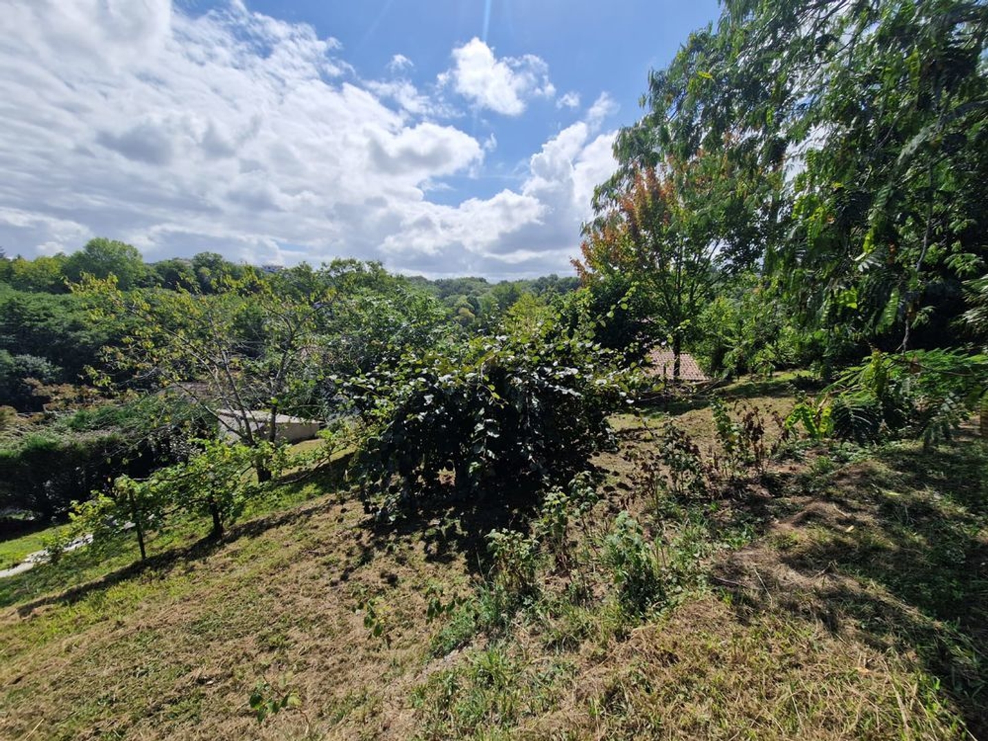 Terrain à vendre - 1030m2 - Ahetze (64210)