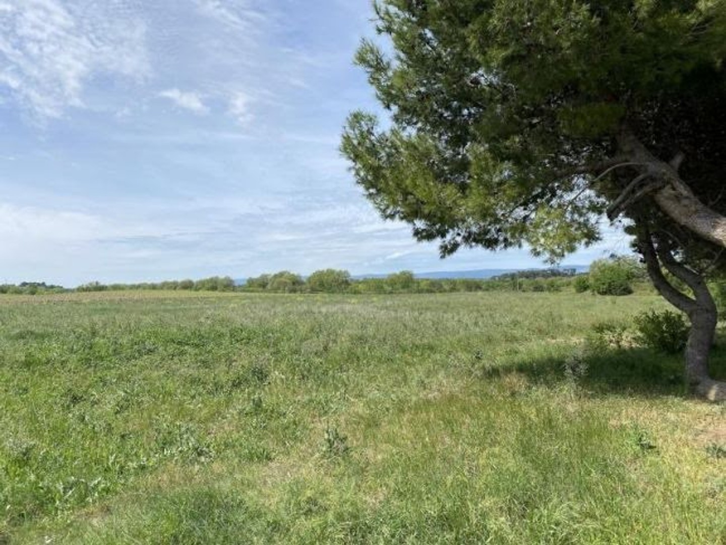 Maison 5 pièces 125 m²