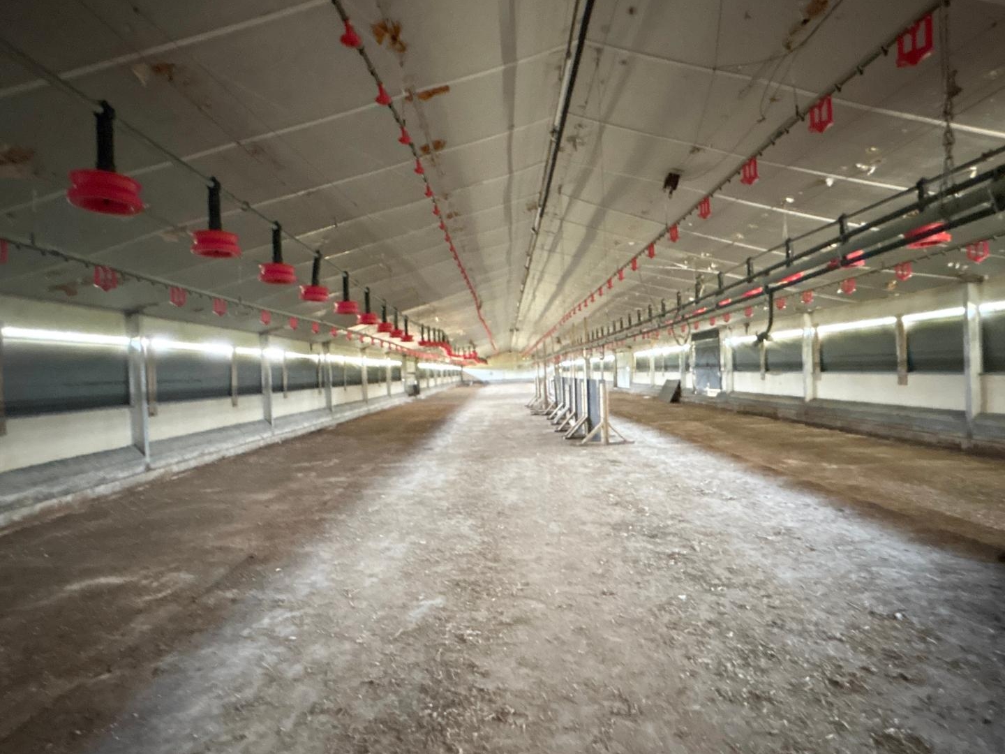 Locaux à vendre - 10000m2 - Sainte-Marie (35600)