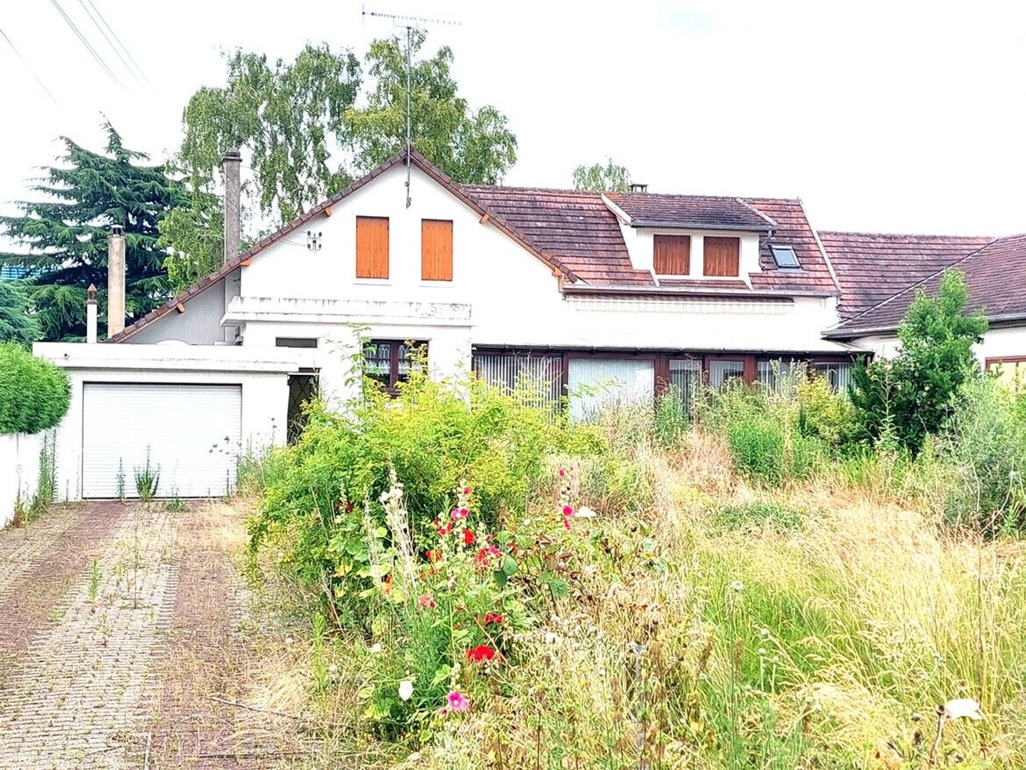 Maison