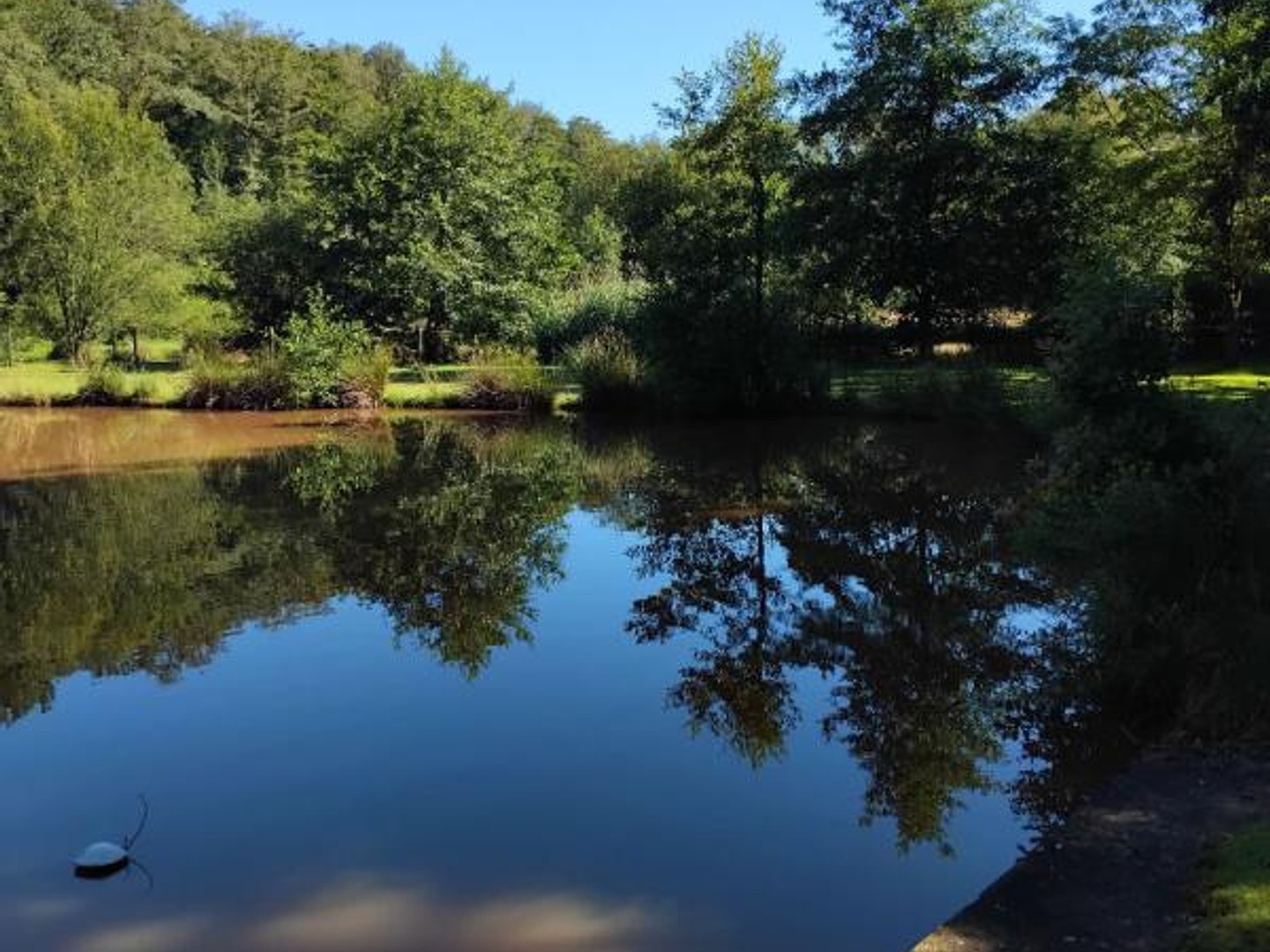 Frahier, au calme Etang dans un cadre verdoyant