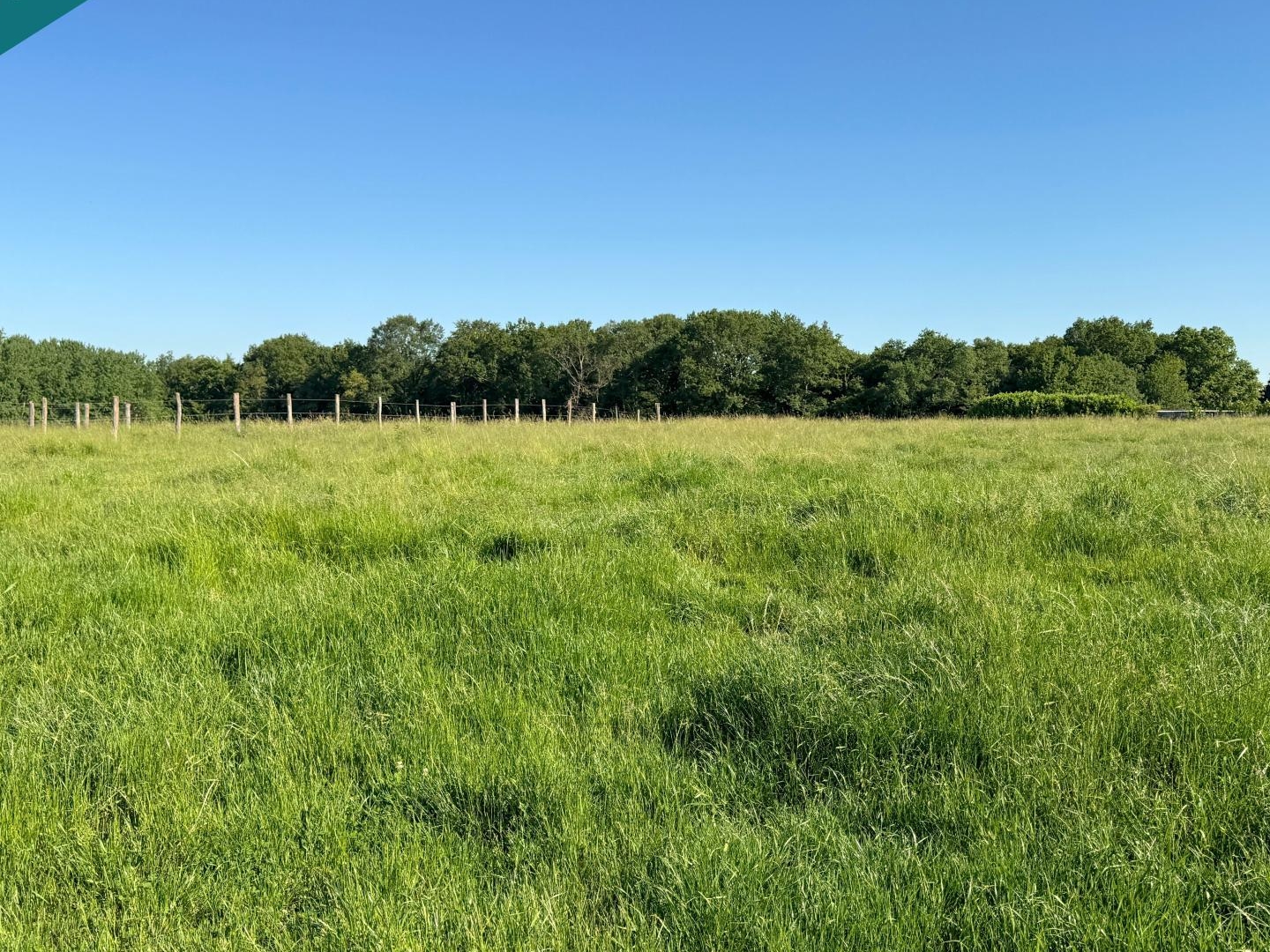 Terrain à vendre - 1354m2 - Cuiseaux (71480)